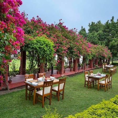 Hôtel Naturoville Ayurvedic And Yoga Retreat à Rishīkesh Extérieur photo