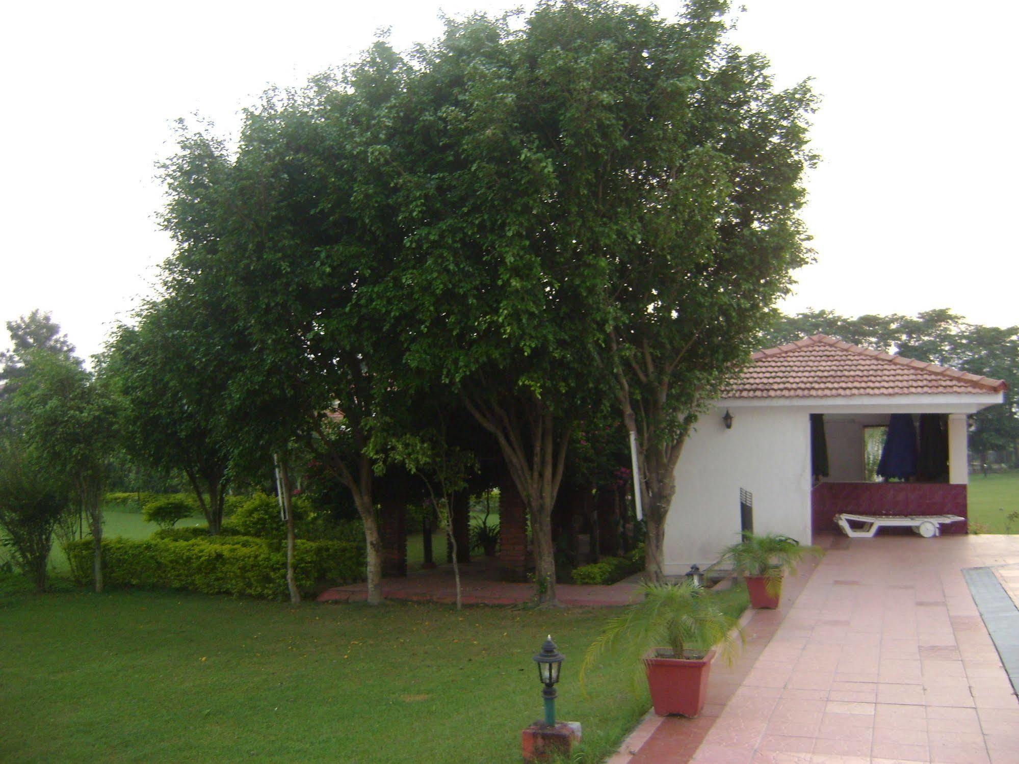 Hôtel Naturoville Ayurvedic And Yoga Retreat à Rishīkesh Extérieur photo