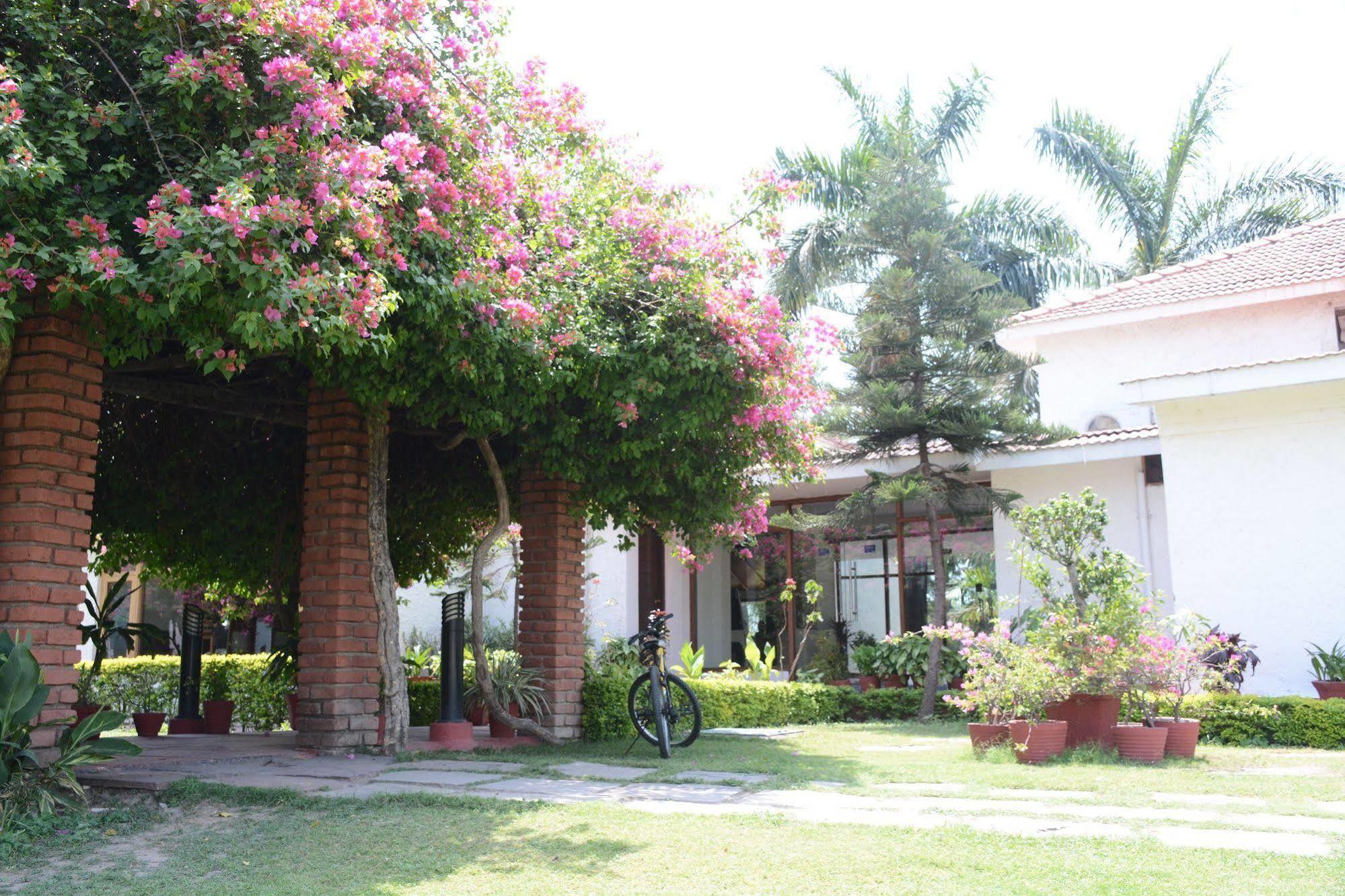 Hôtel Naturoville Ayurvedic And Yoga Retreat à Rishīkesh Extérieur photo