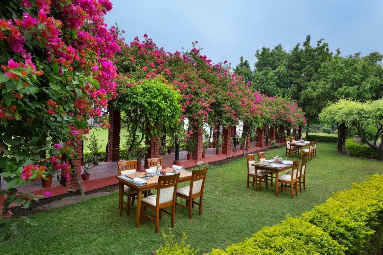 Hôtel Naturoville Ayurvedic And Yoga Retreat à Rishīkesh Extérieur photo